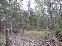 Wacol - Obstacle Course 5